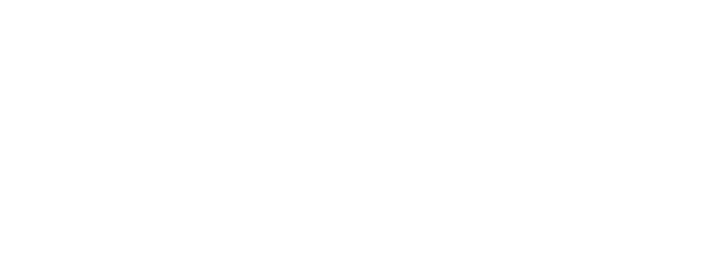asset 4 8